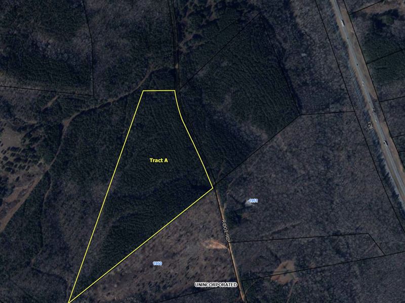 Wooded Acreage : Enoree : Spartanburg County : South Carolina