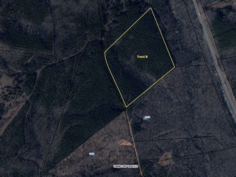 Wooded Acreage : Enoree : Spartanburg County : South Carolina