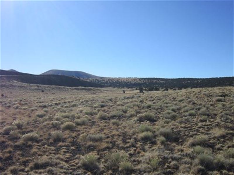 4.8 Acres, Small Mtn, Lookout Point : Concho : Apache County : Arizona