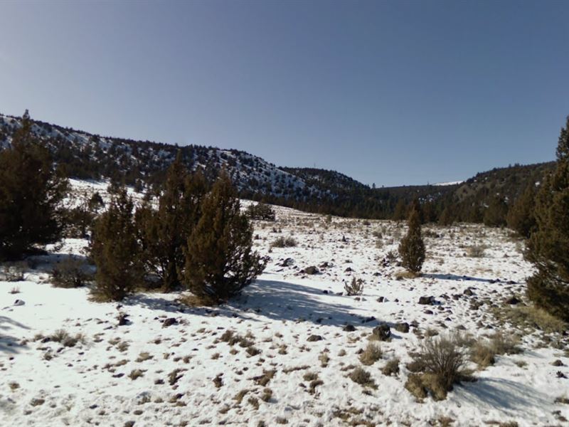 1.15 Acre Lot in California Pines : California Pines : Modoc County : California