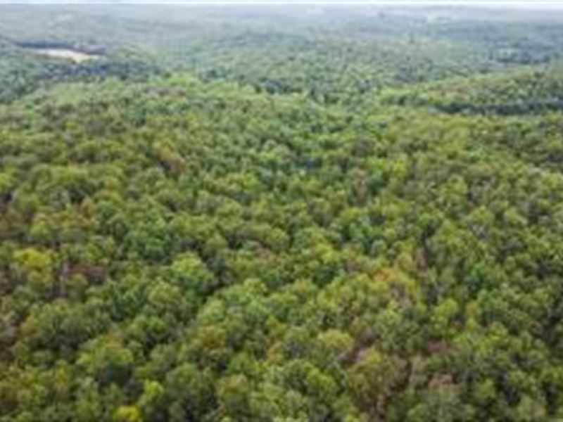 Wooded Lot Behind Country Club : West Plains : Howell County : Missouri