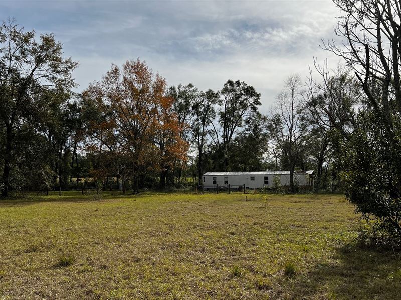 Handy Man Special : Live Oak : Suwannee County : Florida