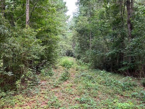 South Carolina Land for Sale : Page 15 of 24 : LANDFLIP