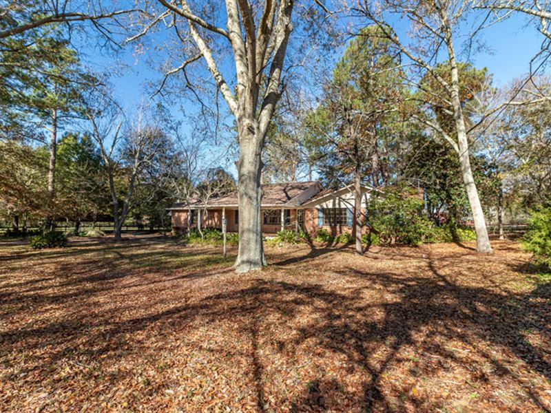 Price Reduced, Home and 35 Acres : Hephzibah : Richmond County : Georgia