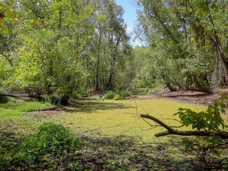 Hunting Land for Sale Just Outside : Saint Gabriel : Iberville Parish : Louisiana