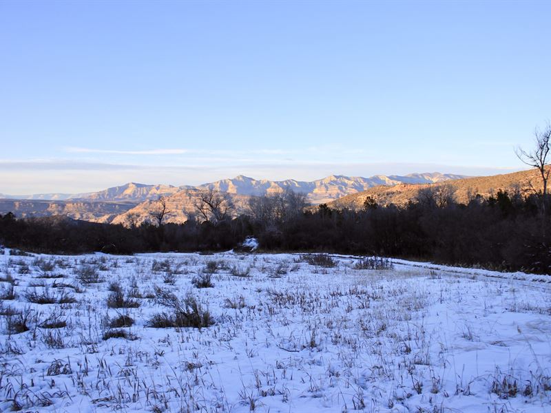 Molina Acres : Molina : Mesa County : Colorado