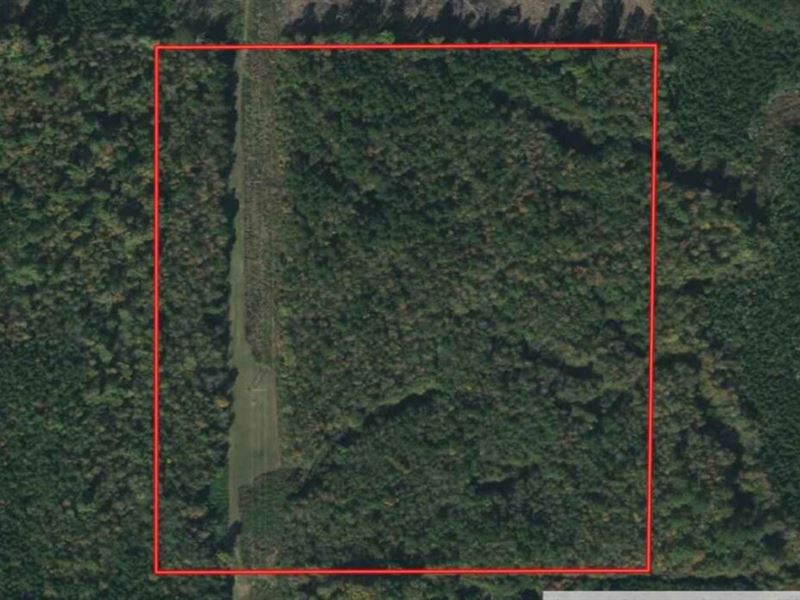 Ms, Winston 40 Acres : Noxapater : Winston County : Mississippi