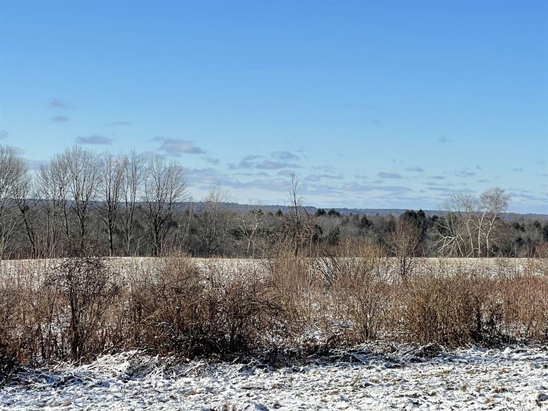 Picture Perfect Views : Camden : Oneida County : New York