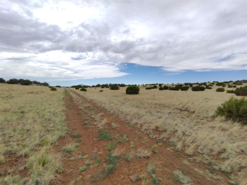 2 Adjacent Lots, Outdoor Lifestyle : Concho : Apache County : Arizona