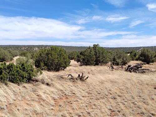 Show Low Arizona Land for Sale : LANDFLIP