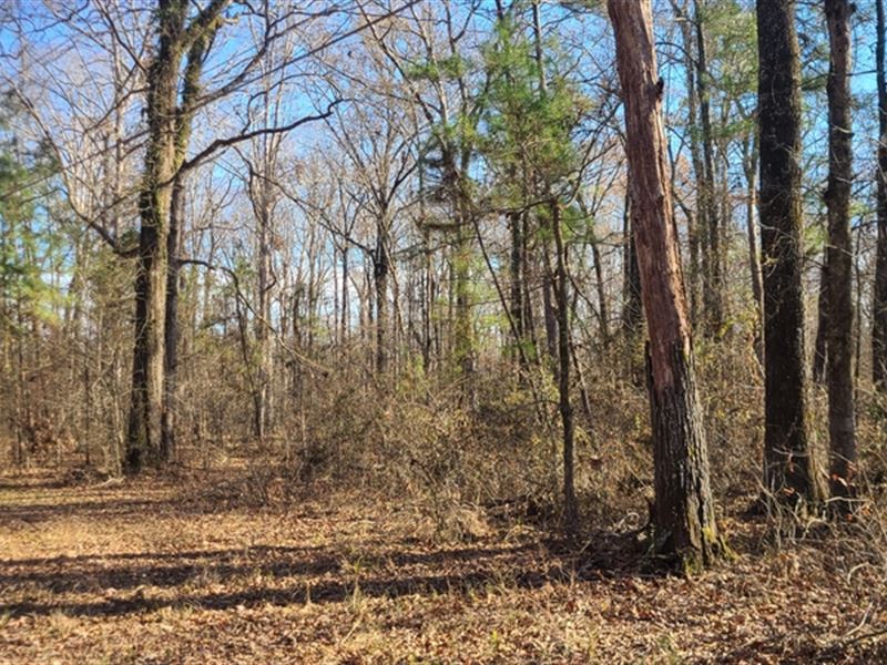 La, Ouachita 10.05 Acres : Monroe : Ouachita Parish : Louisiana