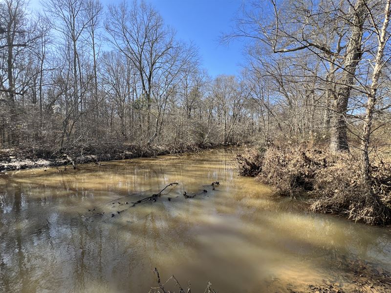 Acreage with Creek Frontage : Douglasville : Paulding County : Georgia