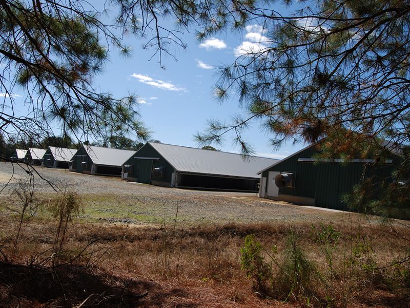 Poultry Farm with 6 Houses 46'X500' : Hartsfield : Colquitt County : Georgia