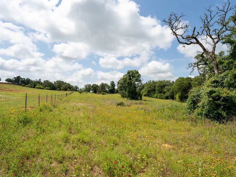 14.41 Acres in Milam County : Rockdale : Milam County : Texas