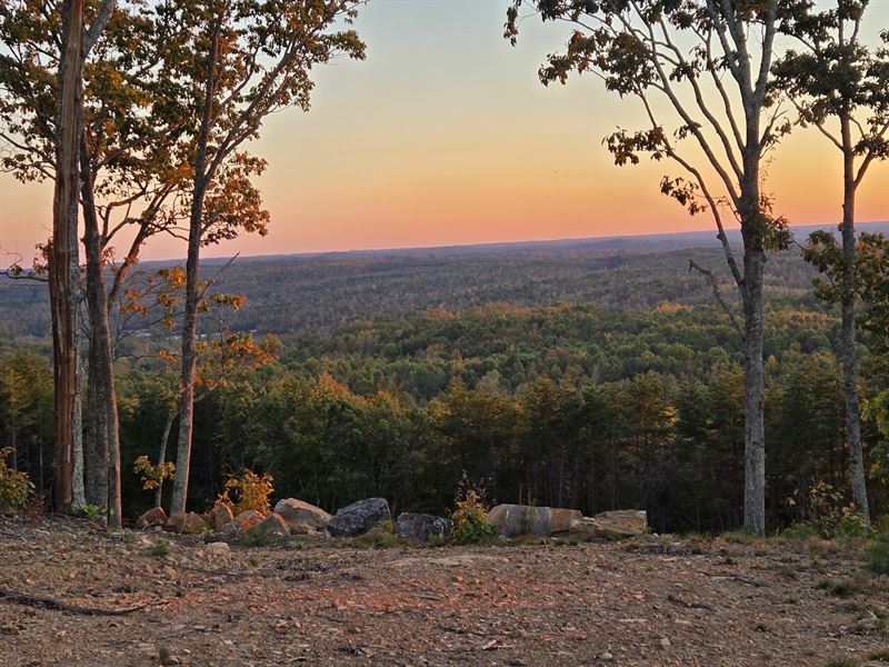 What A View : Green Bay : Prince Edward County : Virginia