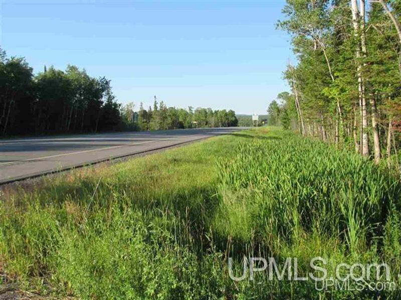 96 Ac Michigan Vacant Land : Covington : Baraga County : Michigan