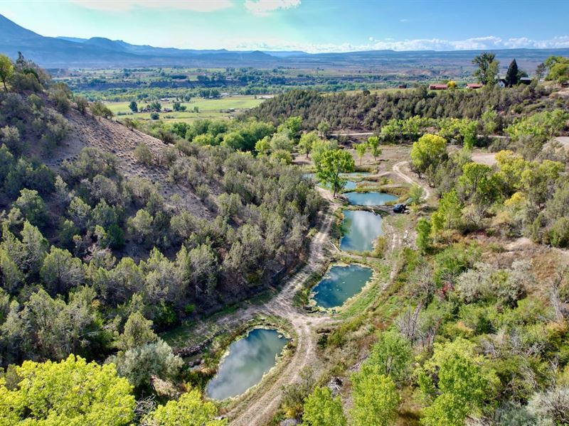 Colorado Mountain Land with Residen : Hotchkiss : Delta County : Colorado