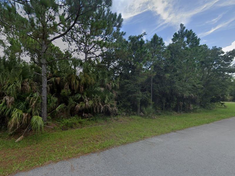 Your Lot on 456 Munoz Street : Port Charlotte : Charlotte County : Florida