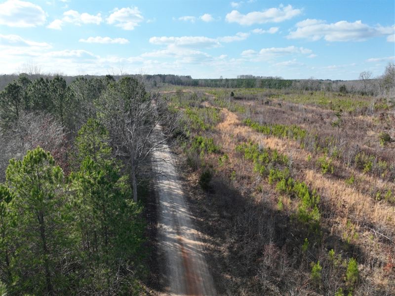 Weaghington Road : Bradley : Greenwood County : South Carolina