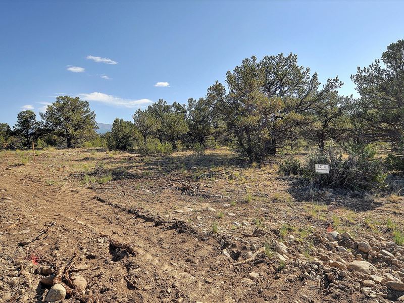 New Luxury Subdivision : Buena Vista : Chaffee County : Colorado