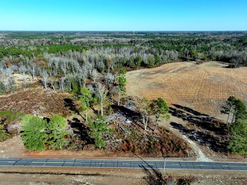 Buildable Farm and Hunting Land : Lumberton : Robeson County : North Carolina