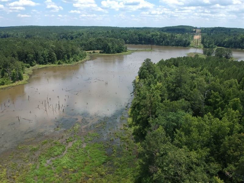 Land on Large Watershed : Winnsboro : Fairfield County : South Carolina