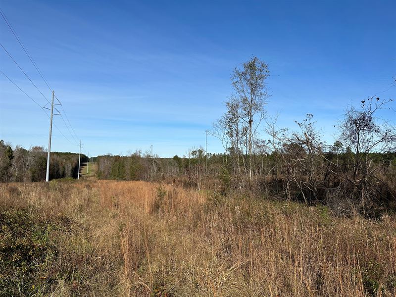 Newman Smith Road : Bartow : Jefferson County : Georgia