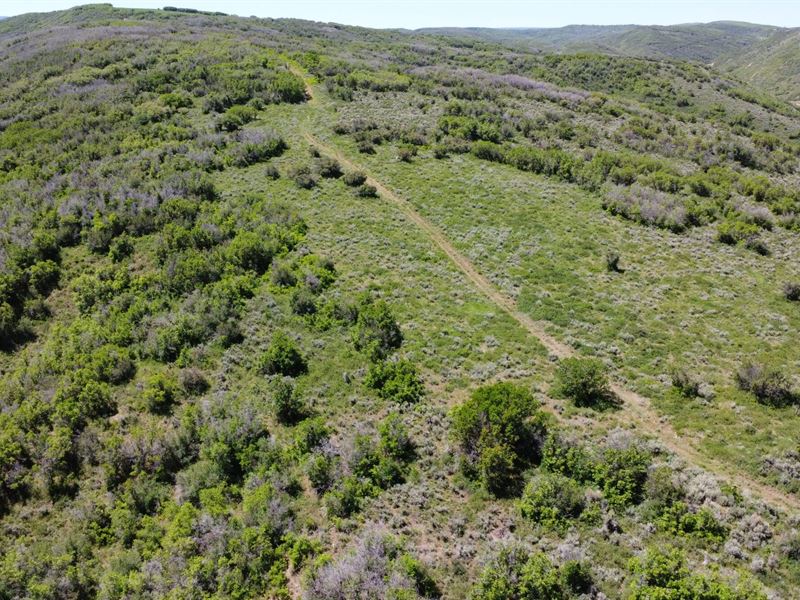 Spring Valley Ranch : Hayden : Routt County : Colorado