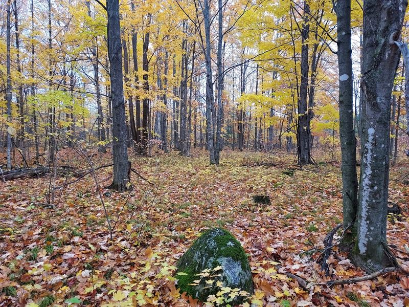 3 Acres Near Hilbert Lake : Goodman : Marinette County : Wisconsin