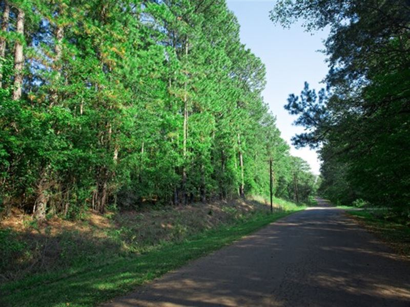 Large Lot Comm Lake Access, $311/Mo : Jefferson : Harrison County : Texas