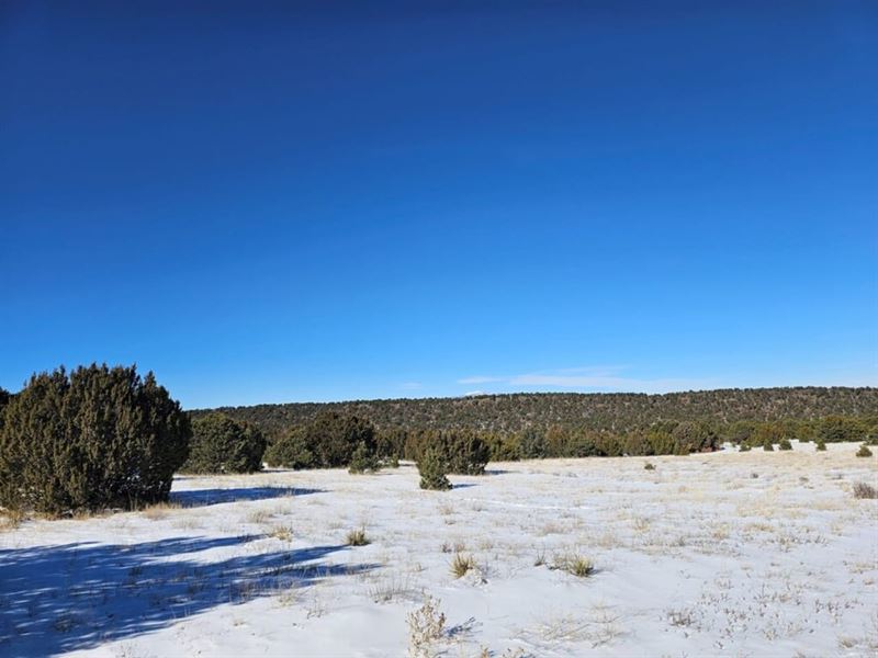 Silver Spurs Ranch 152 : Walsenburg : Huerfano County : Colorado