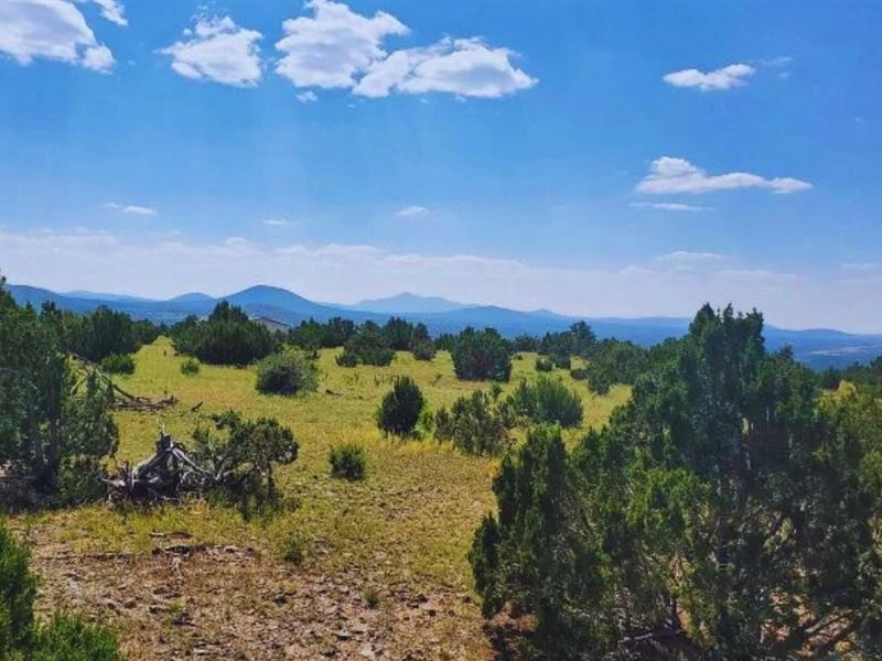 1 Acre of Ultimate Privacy $275/Mo : Williams : Coconino County : Arizona