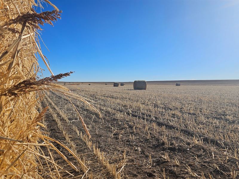 South Kimball 465 : Kimball : Kimball County : Nebraska