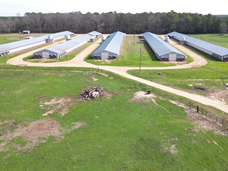 Poultry Farm for Sale in Mississipp : Bogue Chitto : Lincoln County : Mississippi