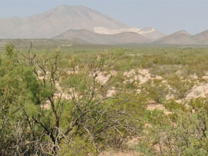 Over 20 Acre Quarter Horse Run : Sierra Blanca : Hudspeth County : Texas