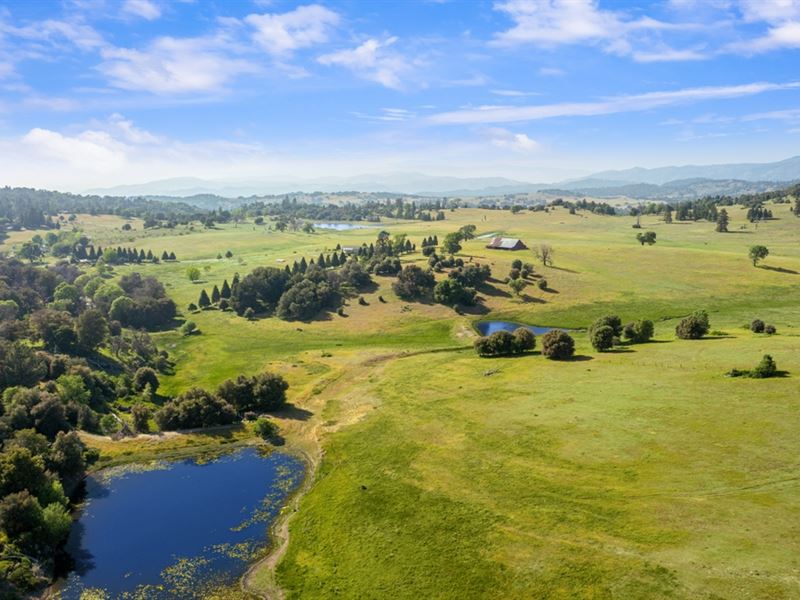 Oak Ridge Stock Farm : Julian : San Diego County : California