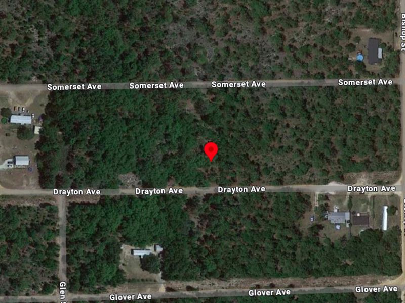 .46 Acre on Drayton Ave : Interlachen : Putnam County : Florida