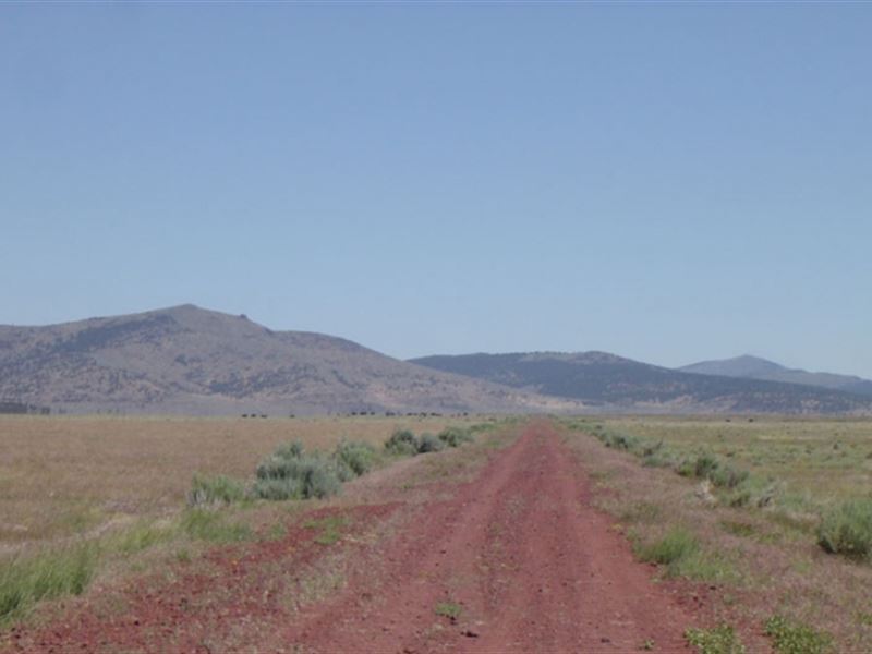 20.1 Acres in Lassen County, CA : Termo : Lassen County : California