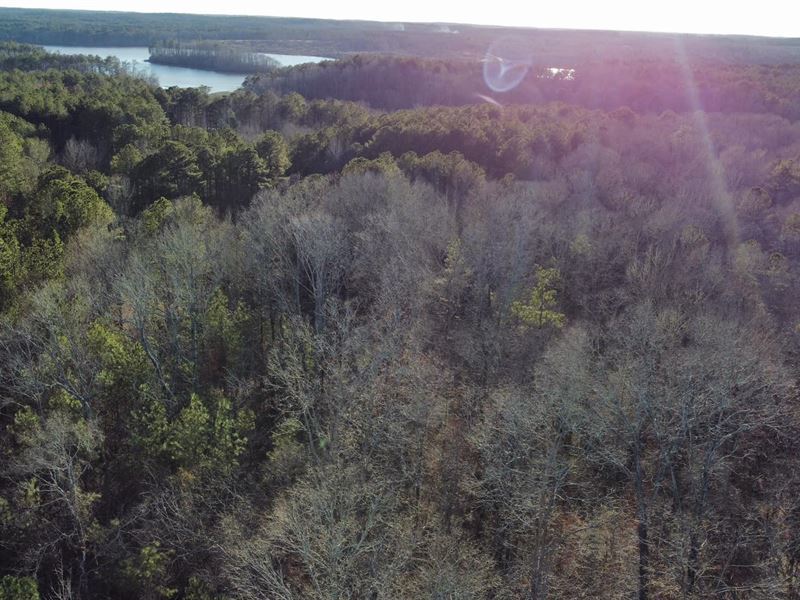 39.5 Ac Near West Point : Lagrange : Troup County : Georgia