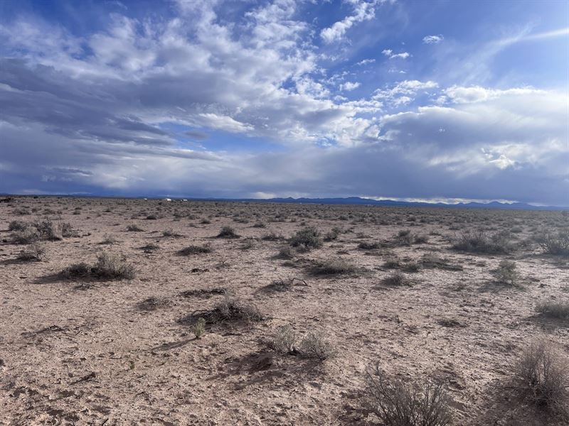 Luna Vista Where Nature Meets : Deming : Luna County : New Mexico