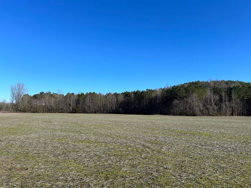 48 Acres in Lafayette County, MS : Paris : Lafayette County : Mississippi