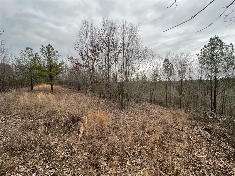 Three Sisters Farm : Waterloo : Lauderdale County : Alabama