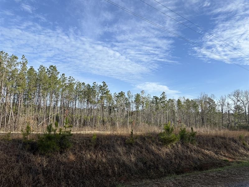 Murphy Road Lot : Georgiana : Butler County : Alabama