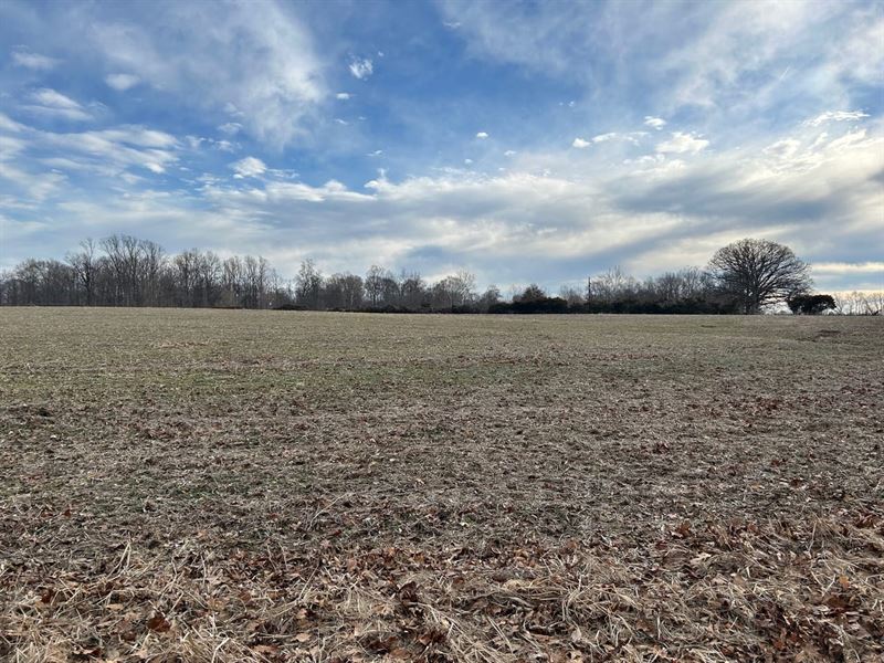 24 Acres in Poland : Poland : Clay County : Indiana