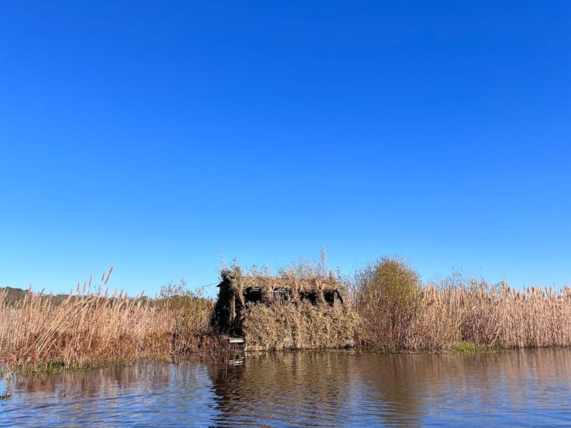 Great Duck Hunting and Fishing : Ivey : Wilkinson County : Georgia