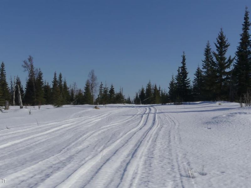 Remote, Trail Access 16 Acres : Ninilchik : Kenai Peninsula Borough : Alaska