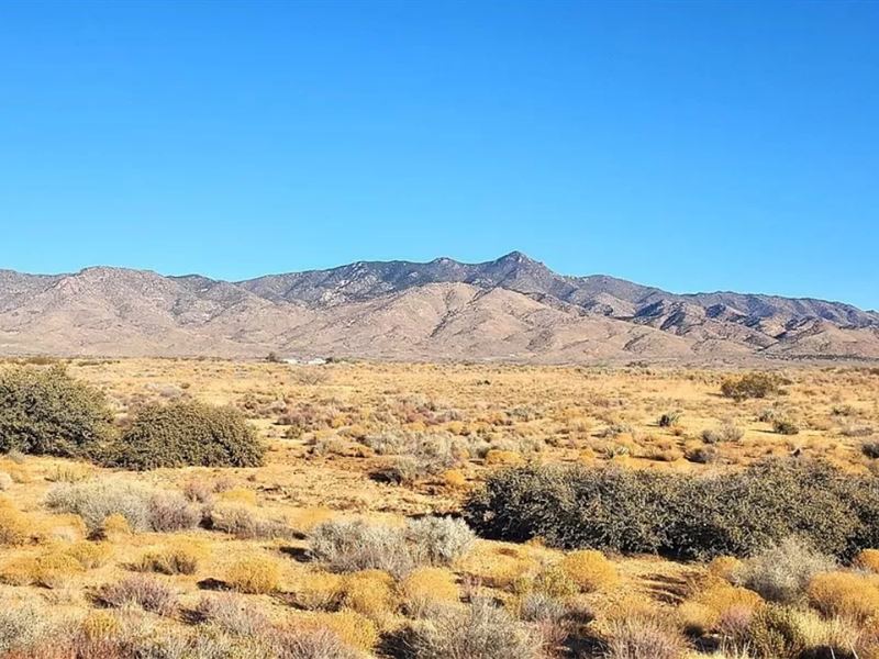 Live Off-Grid, Nice Lot in Chloride : Chloride : Mohave County : Arizona