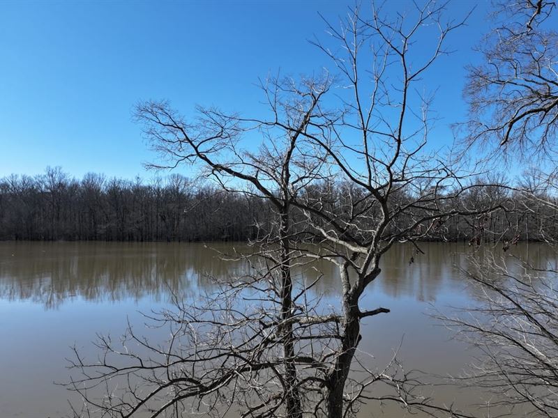 Maddox Bay, Resort Road Lot : Holly Grove : Monroe County : Arkansas