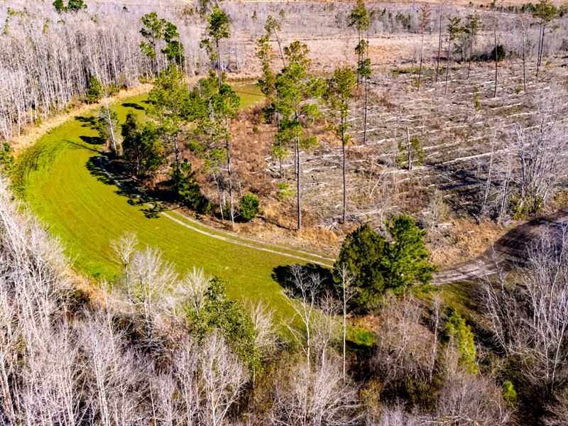 33 Ac Hunting & Timber Calhoun Co : Blountstown : Calhoun County : Florida