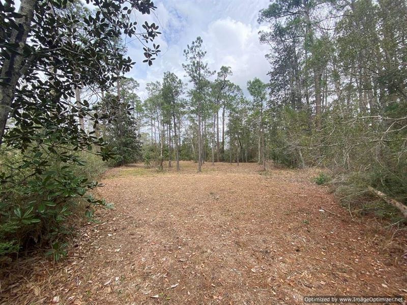 Beautiful View, 2.9 Acres : Biloxi : Harrison County : Mississippi